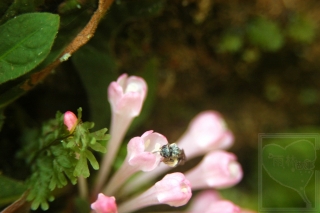 neo_img_2013-11-35-2