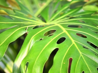 neo_img_2013-11-55-1