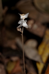 2011-08-20-01