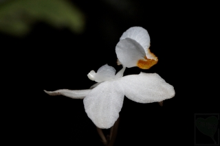 2011-08-20-02