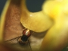 2011-08-04-02