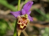 2011-08-04-03