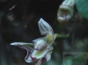2011-08-13-01