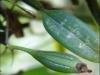2011-08-13-03