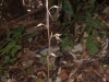 2011-08-21-01
