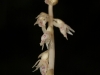 2011-08-22-01