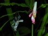 2011-08-29-01