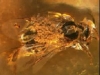 2011-08-30-01