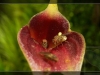 2011-08-46-01