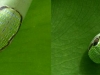2011-08-50-01