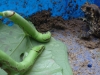 2011-08-51-01