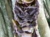 2011-08-54-02
