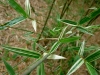 2011-08-55-02_0