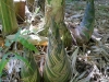 2011-08-55-03_0