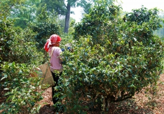 2012-09-04-1