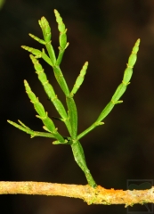 2012-09-05-3