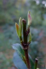 2012-09-15-2