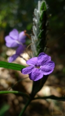 2012-09-24-2