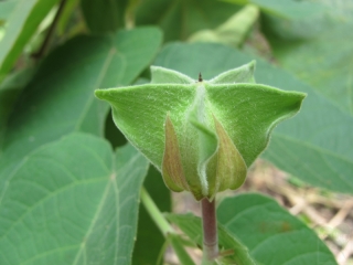 2012-09-35-1