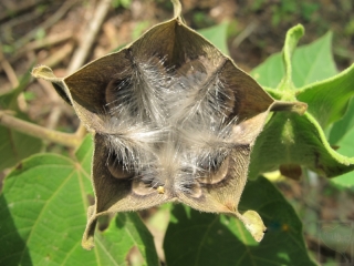 2012-09-35-2