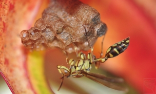 2012-09-50-1
