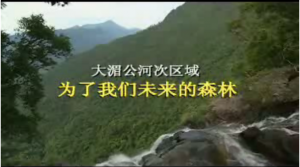 纪录片—“为了我们未来的森林”